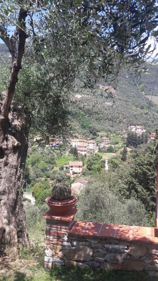 Il Colle Di Abramo Casa Vacanze Enrica Pietrasanta Luaran gambar